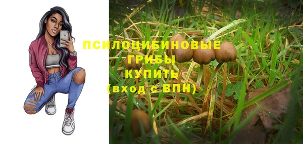 mix Армянск