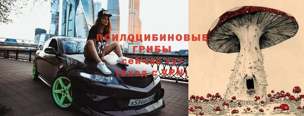 mix Армянск